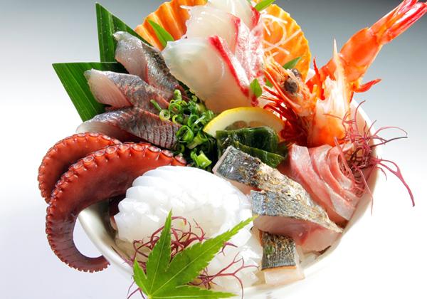 天草イルカウォッチングと海鮮丼ランチ<トイレ付バス利用>2